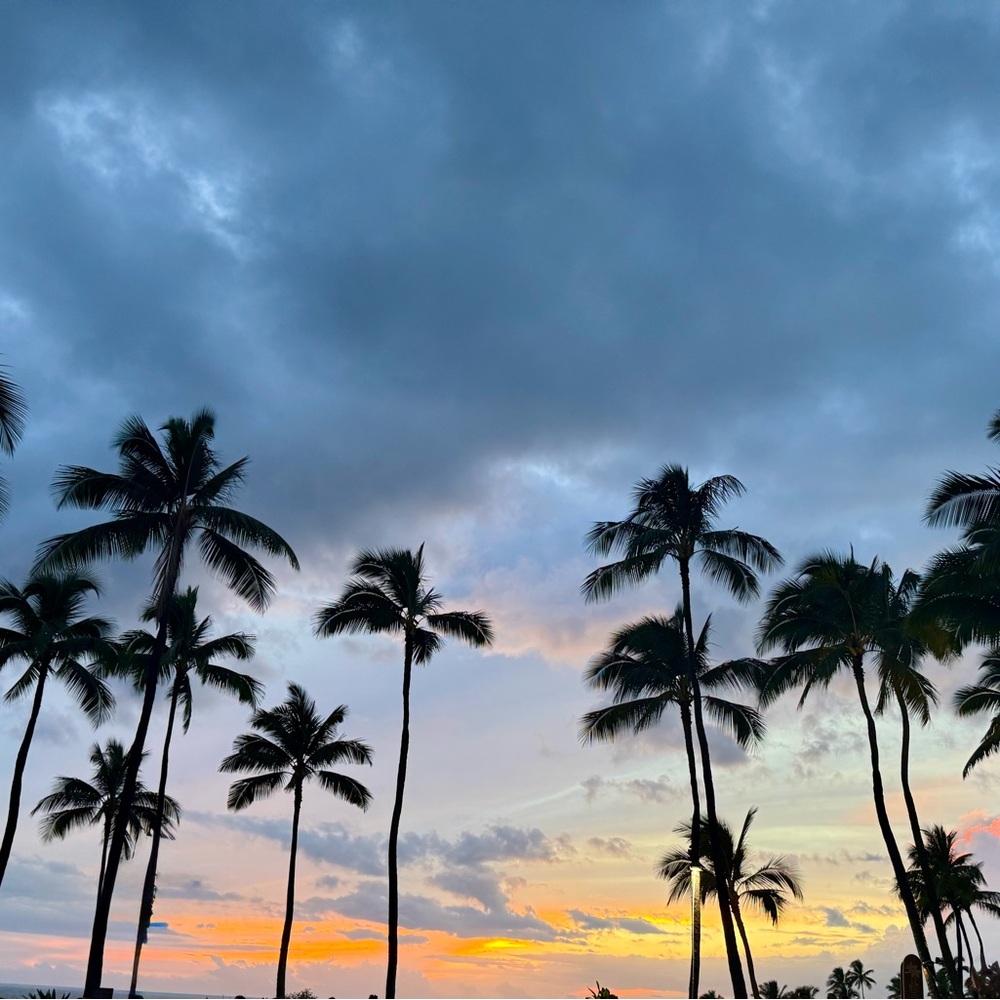 Meet your Posher, Tavia